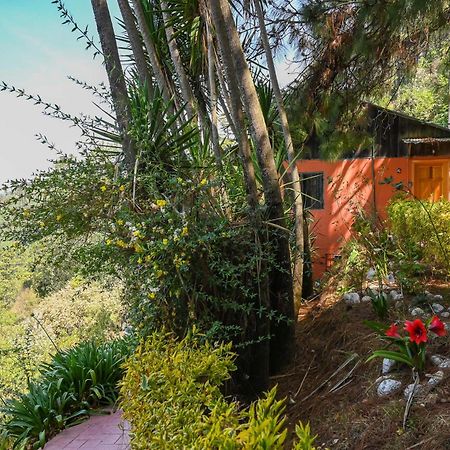 San Jose Del Pacifico- Cabanas Camino Al Cielo 2 Екстериор снимка